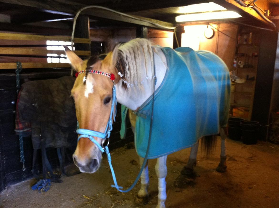 Klubstævne på Blis Rideklub :) billede 43