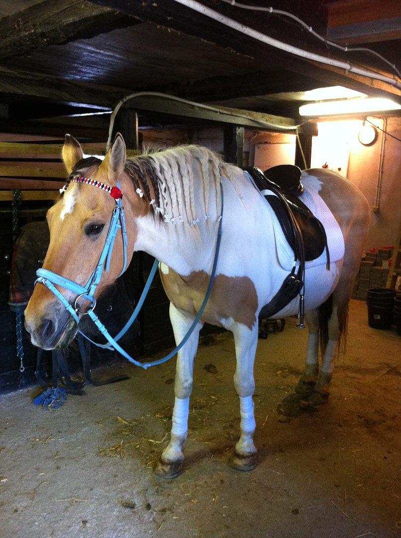 Klubstævne på Blis Rideklub :) billede 46