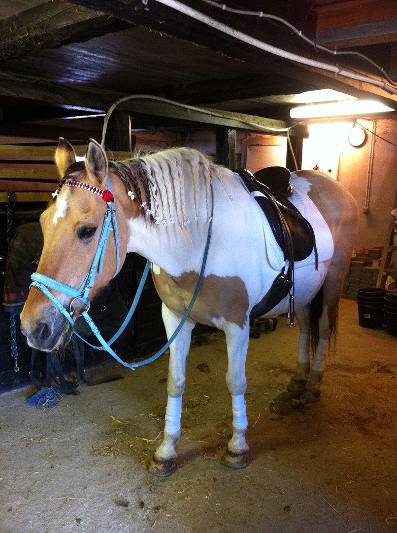 Klubstævne på Blis Rideklub :) billede 47