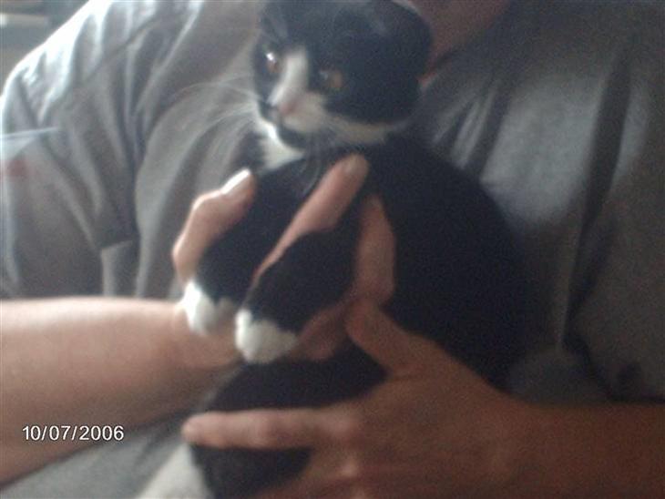 {{currentPhoto.altText}} billede {{currentPhoto.number}}