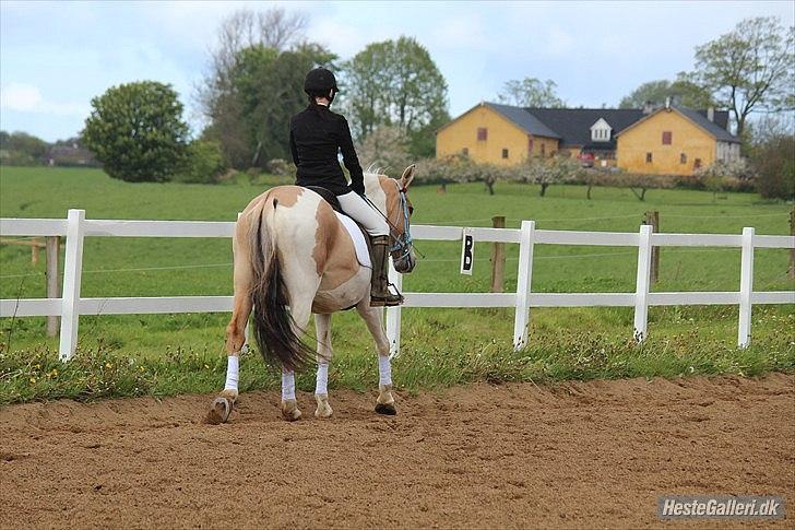 Klubstævne på Blis Rideklub :) - Taget af Amanda Haucke Tophøj Jørgensen billede 48