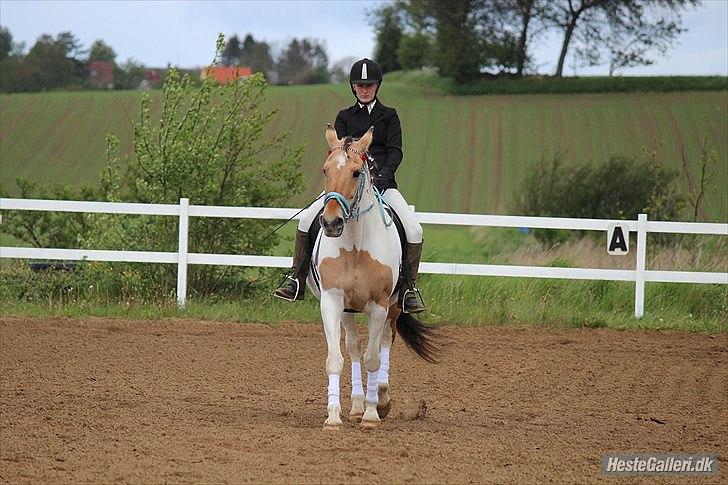 Klubstævne på Blis Rideklub :) - Taget af Amanda Haucke Tophøj Jørgensen billede 49