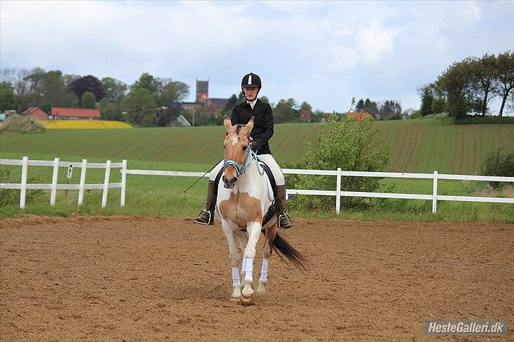 Klubstævne på Blis Rideklub :) - Taget af Amanda Haucke Tophøj Jørgensen billede 50
