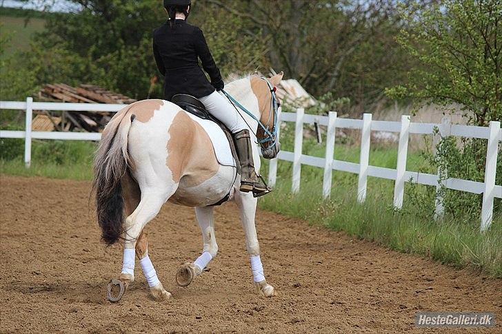 Klubstævne på Blis Rideklub :) - Taget af Amanda Haucke Tophøj Jørgensen billede 53