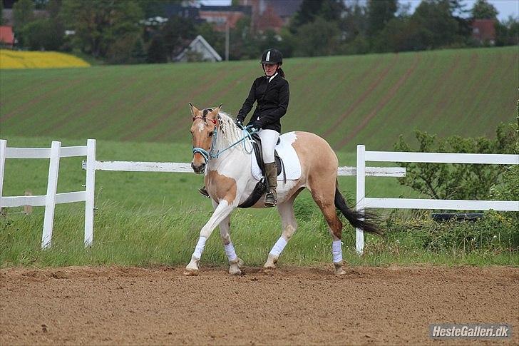 Klubstævne på Blis Rideklub :) - Taget af Amanda Haucke Tophøj Jørgensen billede 54