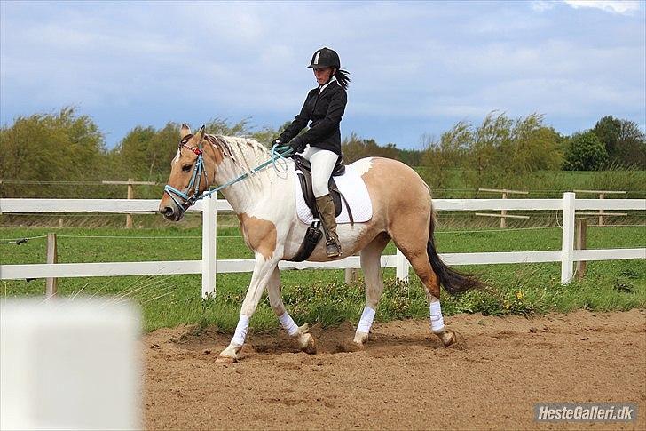 Klubstævne på Blis Rideklub :) - Taget af Amanda Haucke Tophøj Jørgensen billede 56