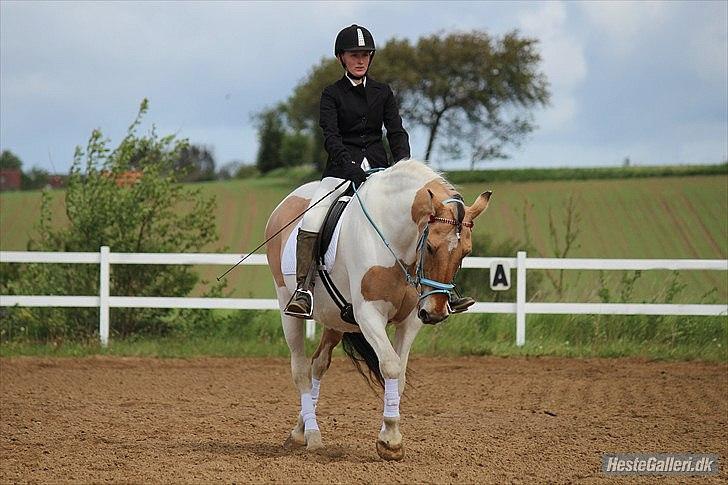 Klubstævne på Blis Rideklub :) - Taget af Amanda Haucke Tophøj Jørgensen billede 57