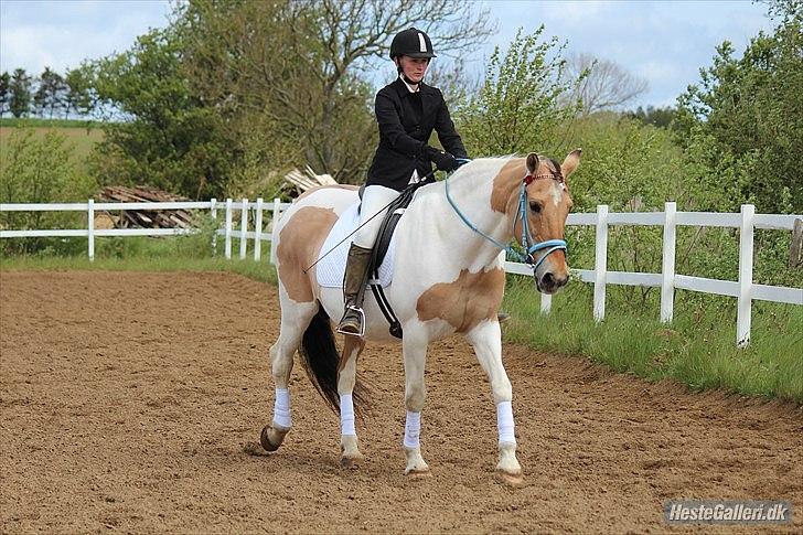 Klubstævne på Blis Rideklub :) - Taget af Amanda Haucke Tophøj Jørgensen billede 58