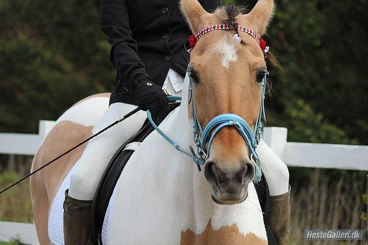 Klubstævne på Blis Rideklub :) - Taget af Amanda Haucke Tophøj Jørgensen billede 59