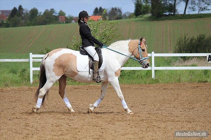 Klubstævne på Blis Rideklub :) - Taget af Amanda Haucke Tophøj Jørgensen billede 60