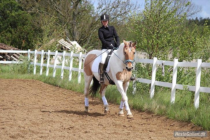 Klubstævne på Blis Rideklub :) - Taget af Amanda Haucke Tophøj Jørgensen
 billede 61