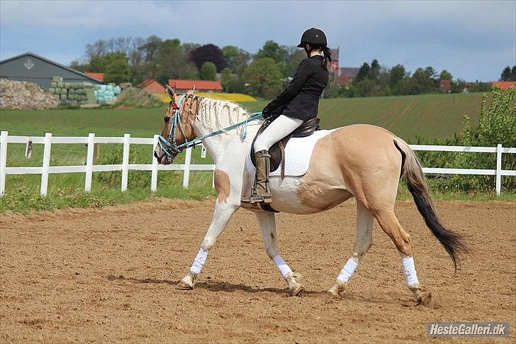 Klubstævne på Blis Rideklub :) - Taget af Amanda Haucke Tophøj Jørgensen billede 62