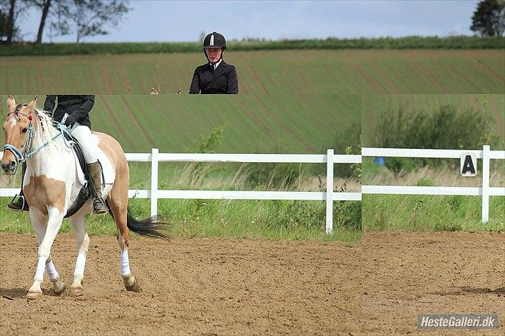 Klubstævne på Blis Rideklub :) - Taget af Amanda Haucke Tophøj Jørgensen billede 64