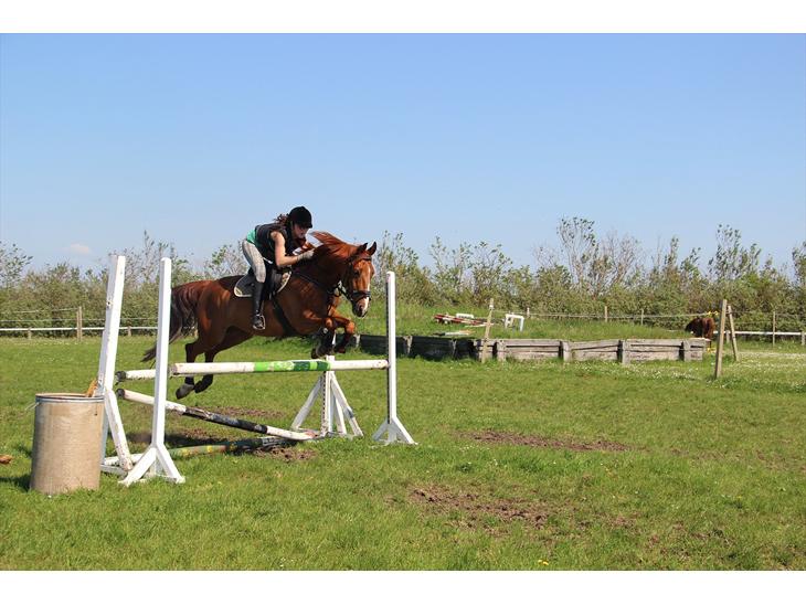 {{currentPhoto.altText}} billede {{currentPhoto.number}}