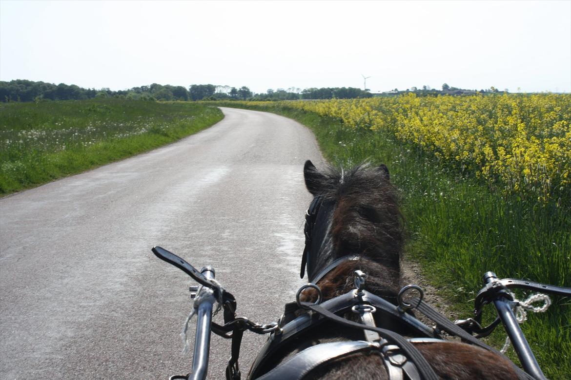DET er sommer hygge - badning ved stranden med hoody!  billede 3