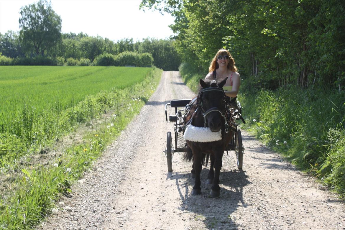 DET er sommer hygge - badning ved stranden med hoody!  billede 8