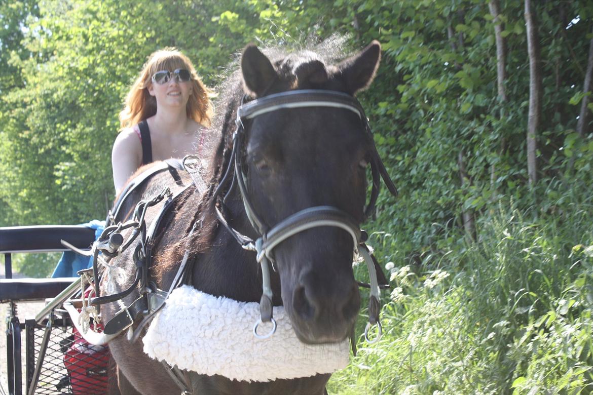 DET er sommer hygge - badning ved stranden med hoody!  billede 9