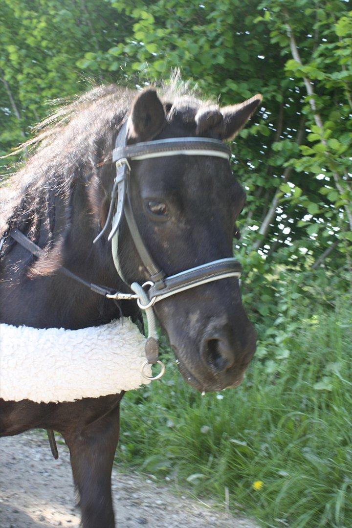 DET er sommer hygge - badning ved stranden med hoody!  billede 10