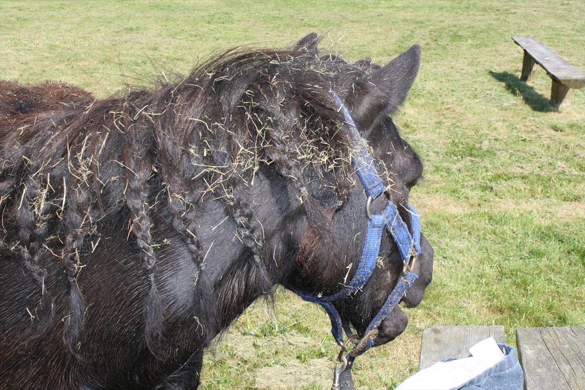 DET er sommer hygge - badning ved stranden med hoody!  billede 15