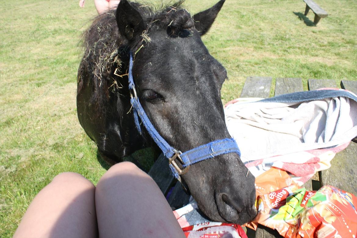 DET er sommer hygge - badning ved stranden med hoody!  billede 16