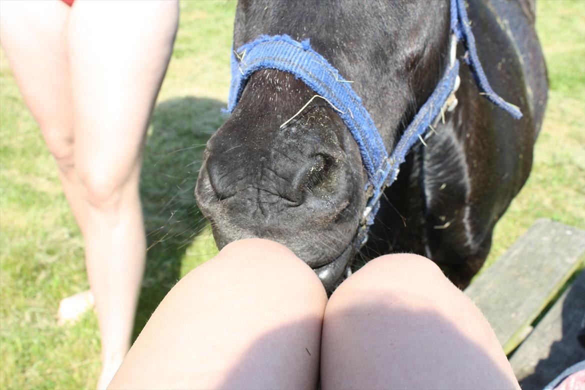 DET er sommer hygge - badning ved stranden med hoody!  billede 17