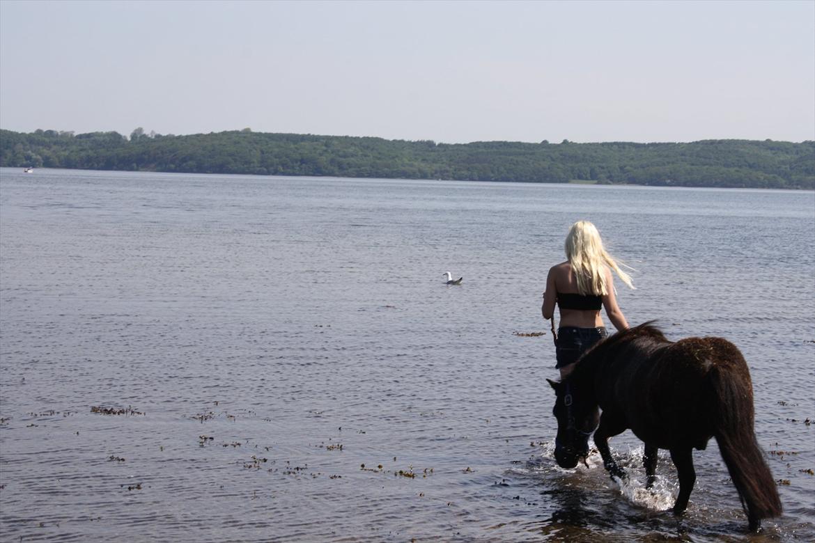 DET er sommer hygge - badning ved stranden med hoody!  billede 29