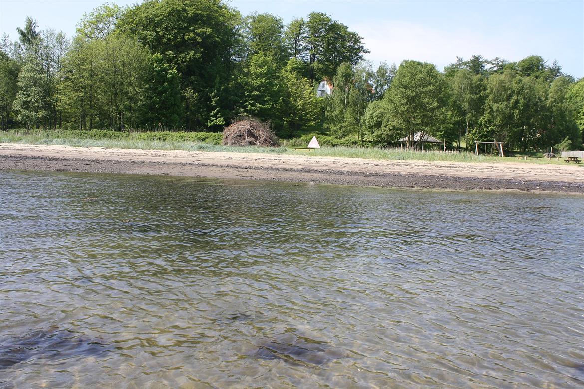 DET er sommer hygge - badning ved stranden med hoody!  billede 31