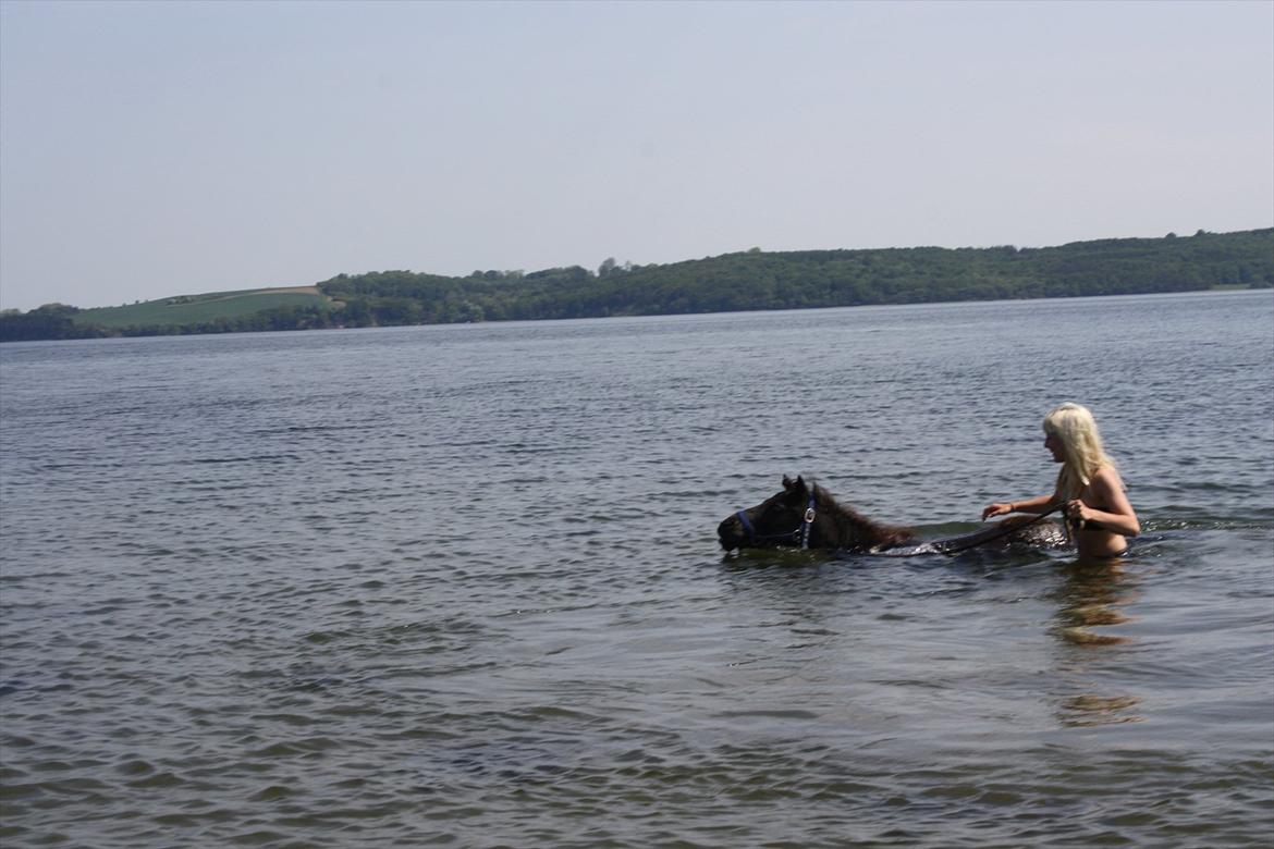 DET er sommer hygge - badning ved stranden med hoody!  billede 35