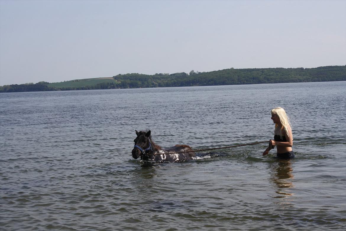 DET er sommer hygge - badning ved stranden med hoody!  billede 36