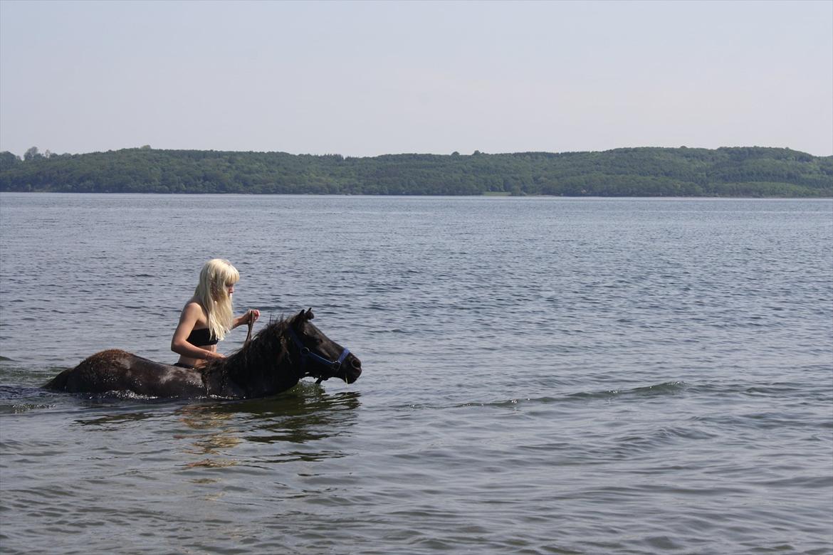 DET er sommer hygge - badning ved stranden med hoody!  billede 37