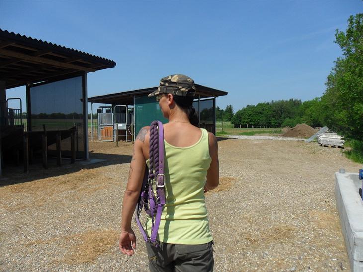 {{currentPhoto.altText}} billede {{currentPhoto.number}}