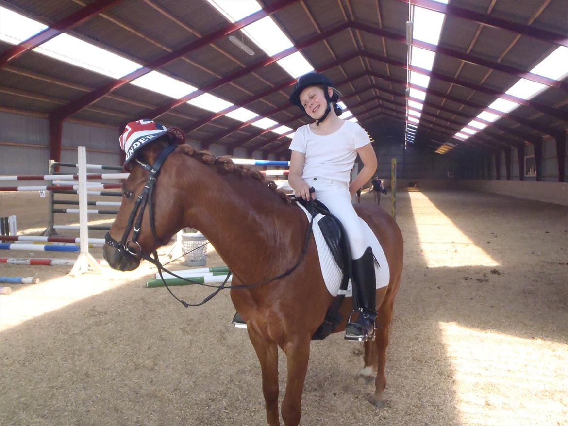 Stævne i Molger Rideklub d. 26/5-12 - Det var virkelig varmt så vi stod i åbningen hvor der var skygge og lidt vind og slappede af...<3 billede 2