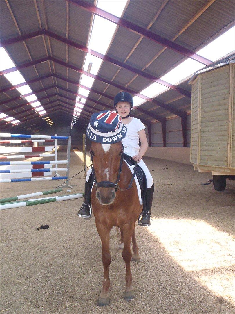 Stævne i Molger Rideklub d. 26/5-12 billede 1