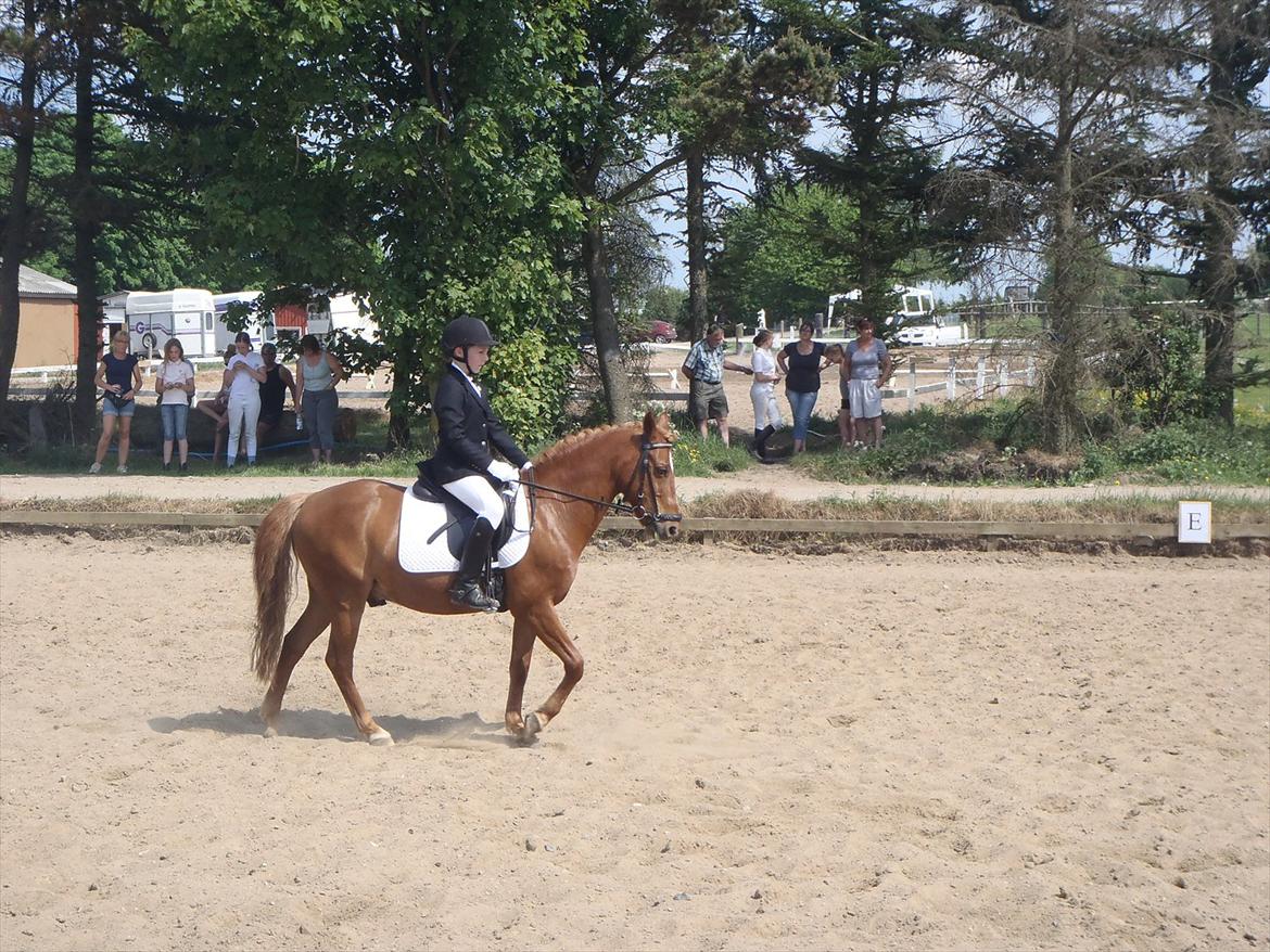 Stævne i Molger Rideklub d. 26/5-12 billede 5