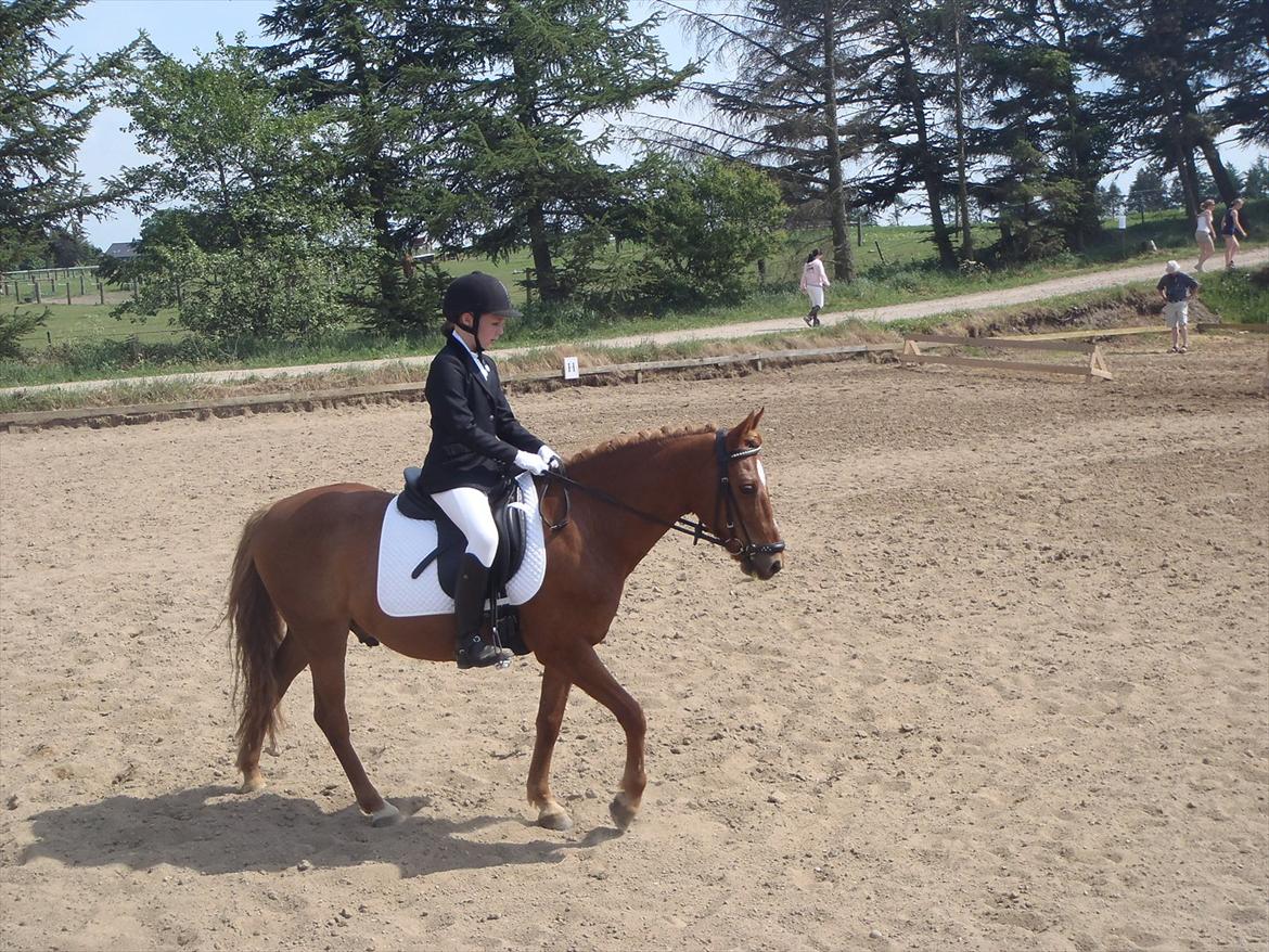 Stævne i Molger Rideklub d. 26/5-12 billede 8