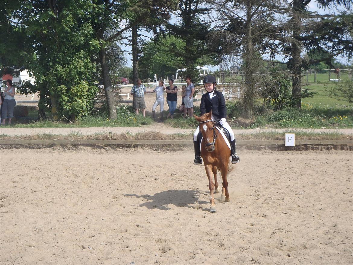 Stævne i Molger Rideklub d. 26/5-12 billede 10