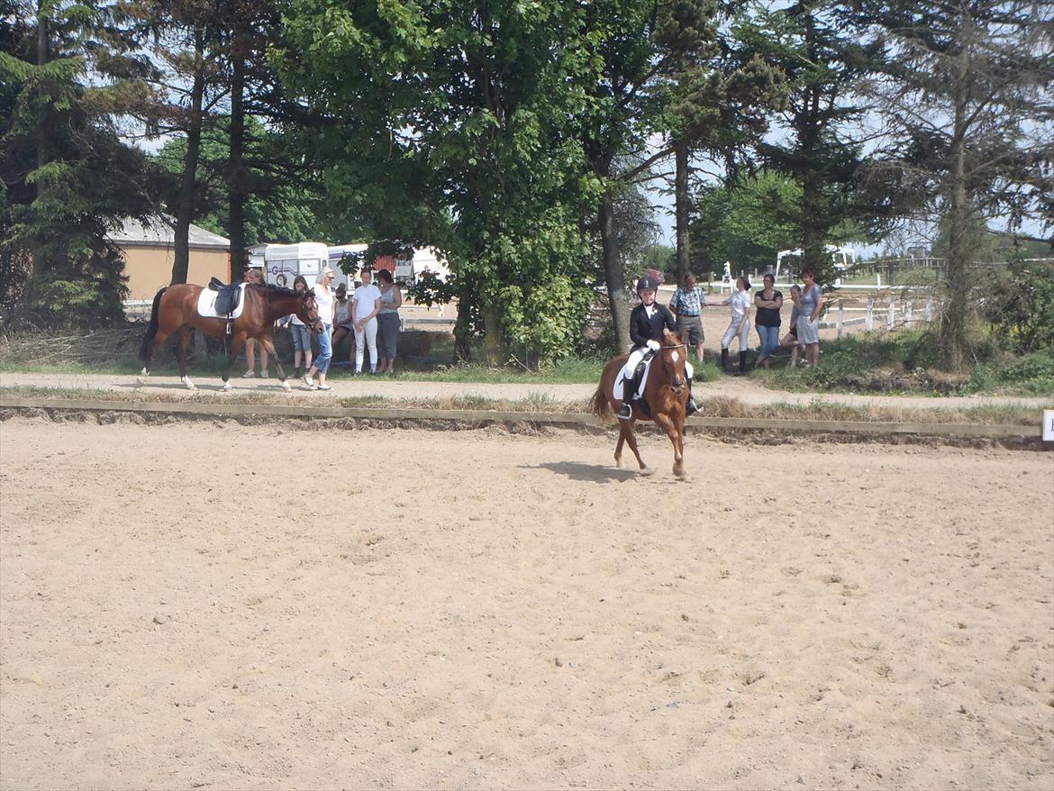 Stævne i Molger Rideklub d. 26/5-12 billede 9