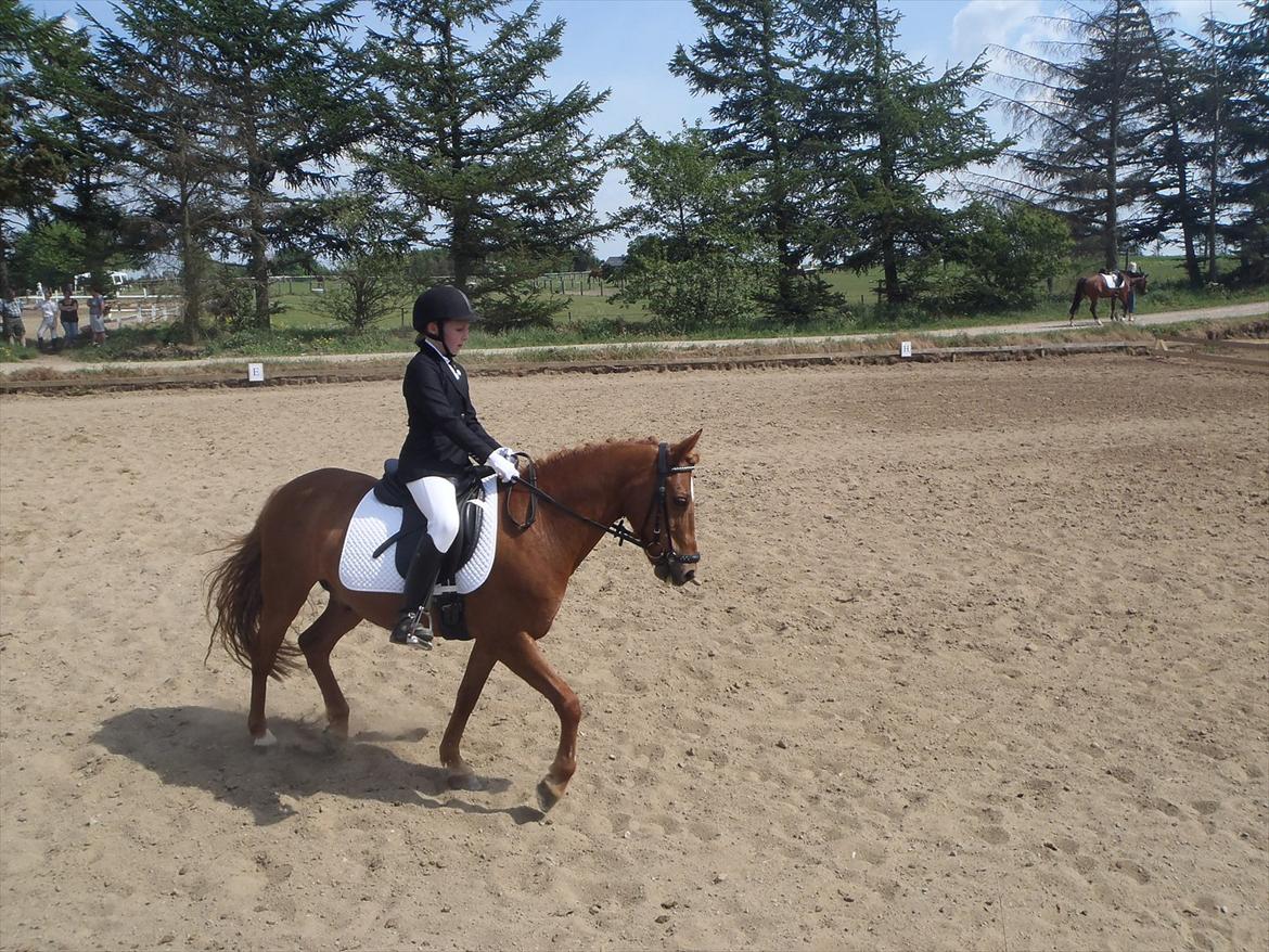 Stævne i Molger Rideklub d. 26/5-12 billede 4