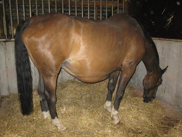 {{currentPhoto.altText}} billede {{currentPhoto.number}}