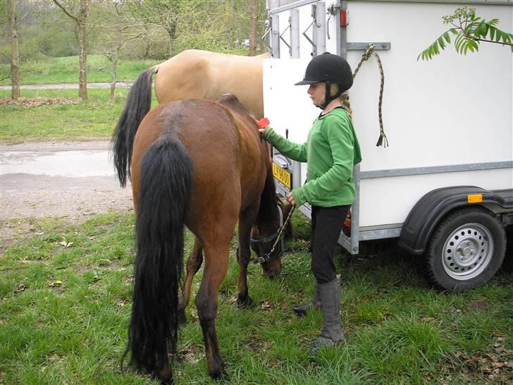 Moesgård strand - Ved at gøre klar billede 1