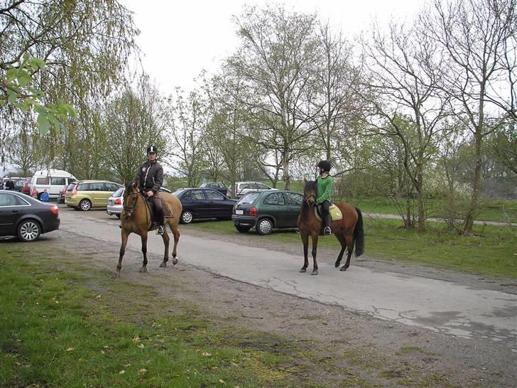 Moesgård strand - Lige ved at være klar billede 3