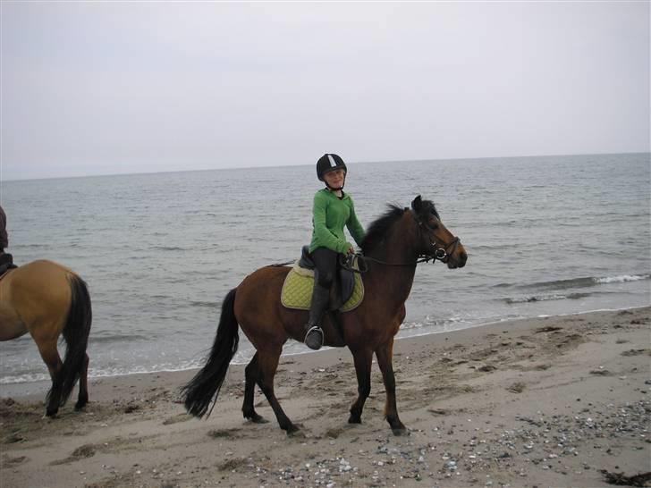 Moesgård strand - Lad mig komme væk fra det vand! billede 6