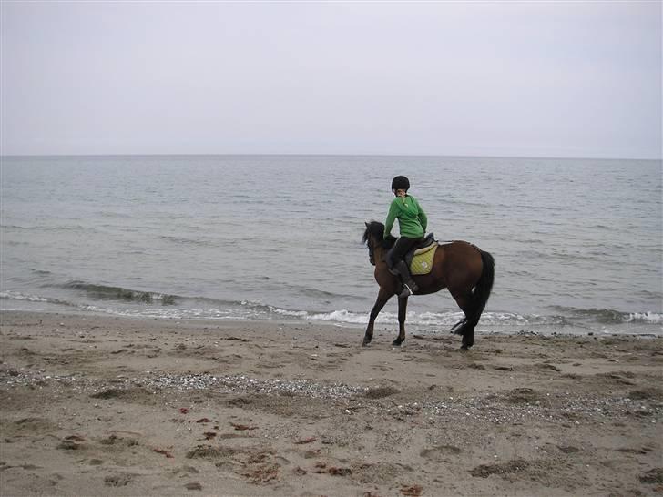 Moesgård strand - Han skal lige klappes lidt! xD billede 10