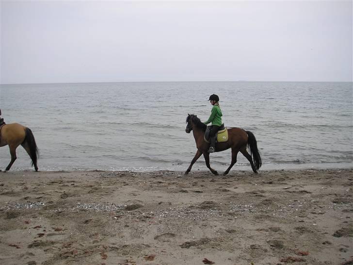 Moesgård strand - Jeg er bange for det forstå det dog mor! billede 11