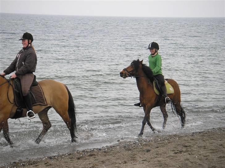 Moesgård strand - Vent på mig regina billede 16