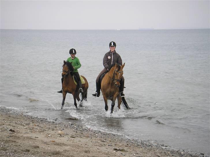 Moesgård strand - Hyggeligt! billede 18