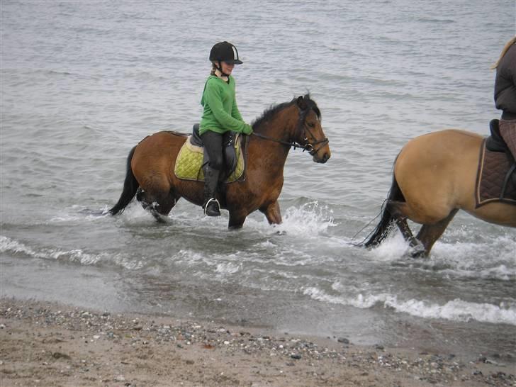 Moesgård strand - I vandet billede 20
