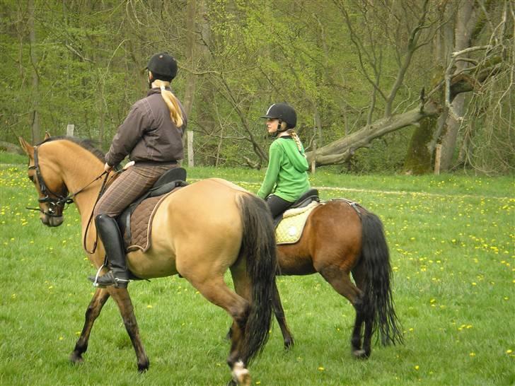 Moesgård strand - På vej op ad bakken billede 21
