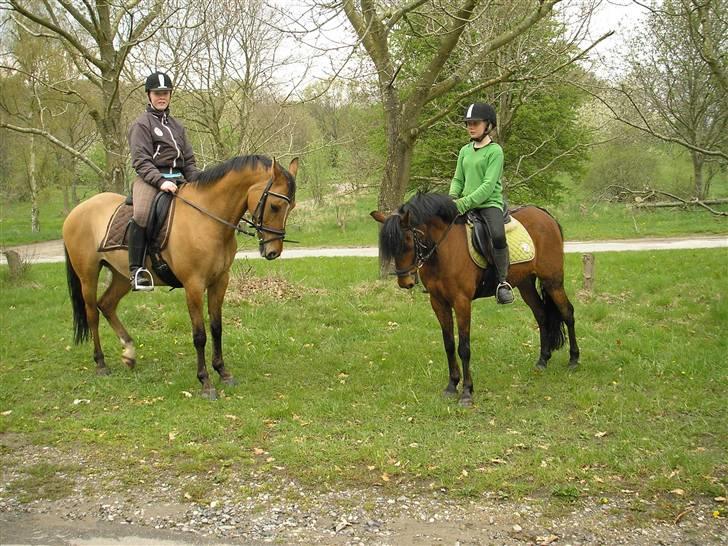 Moesgård strand - Se hvor fint vi begge kan stå billede 27