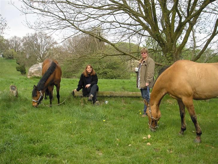 Moesgård strand - Dem begge billede 31